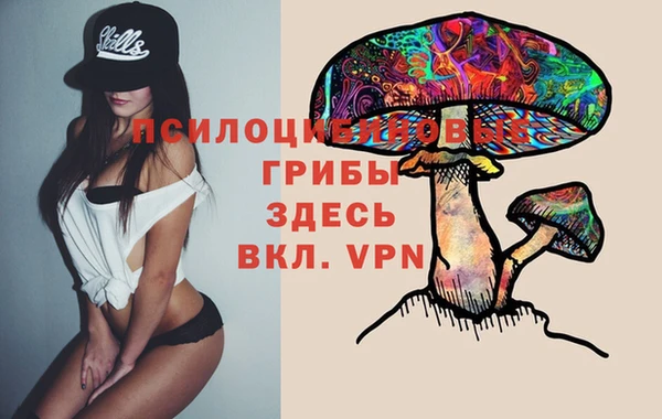 гашиш Вяземский