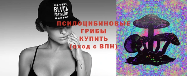 ГАЛЛЮЦИНОГЕННЫЕ ГРИБЫ Тихорецк